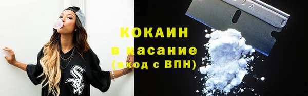 гашик Покровск