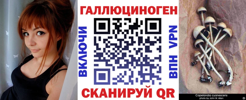 где купить   Севск  Псилоцибиновые грибы мицелий 